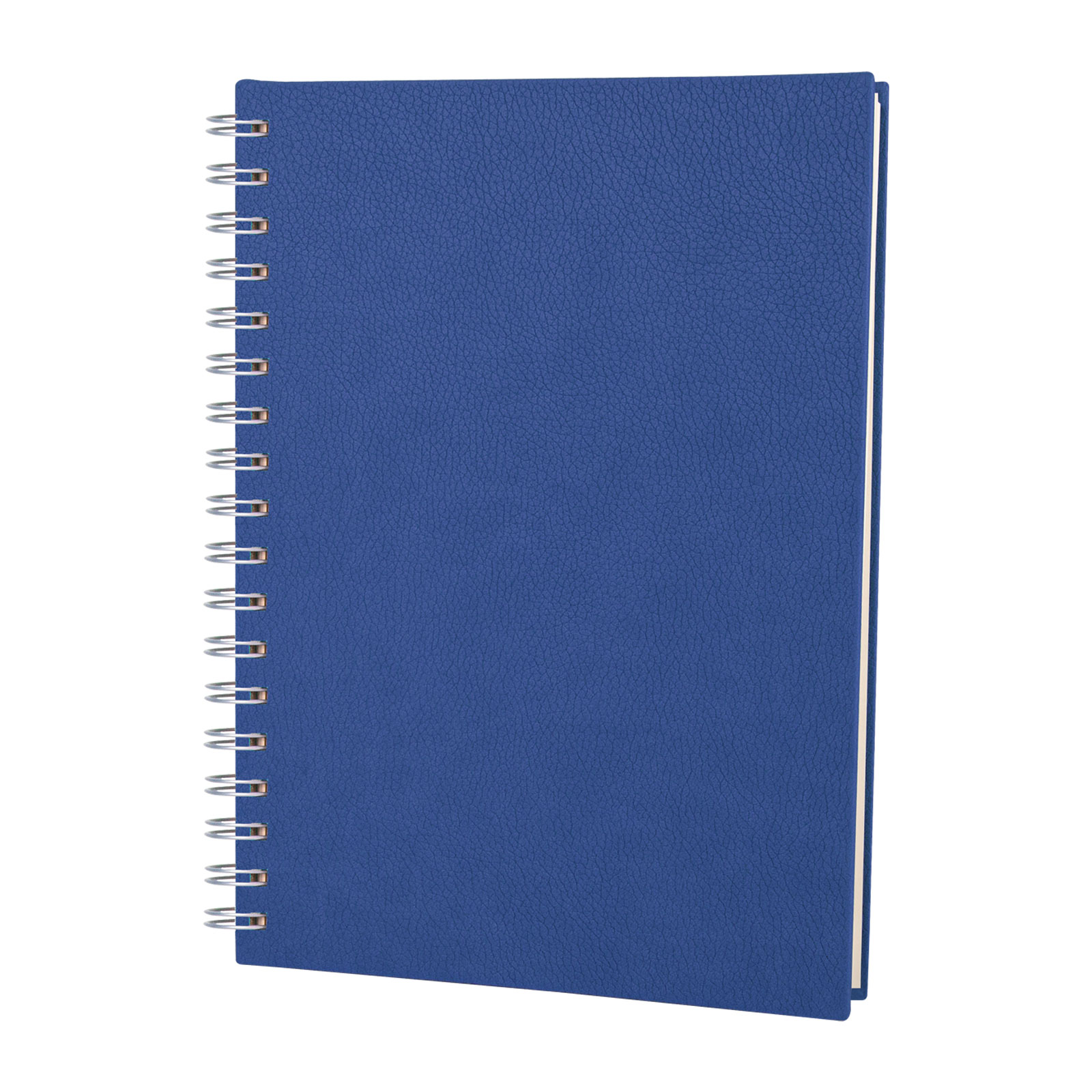 ALTINDAĞ KARELİ SPİRALLİ TARİHSİZ DEFTER (17X24 CM)