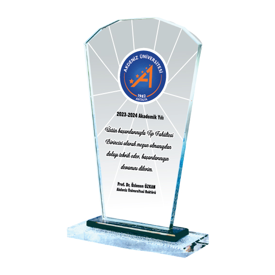 PLAKET - 6
